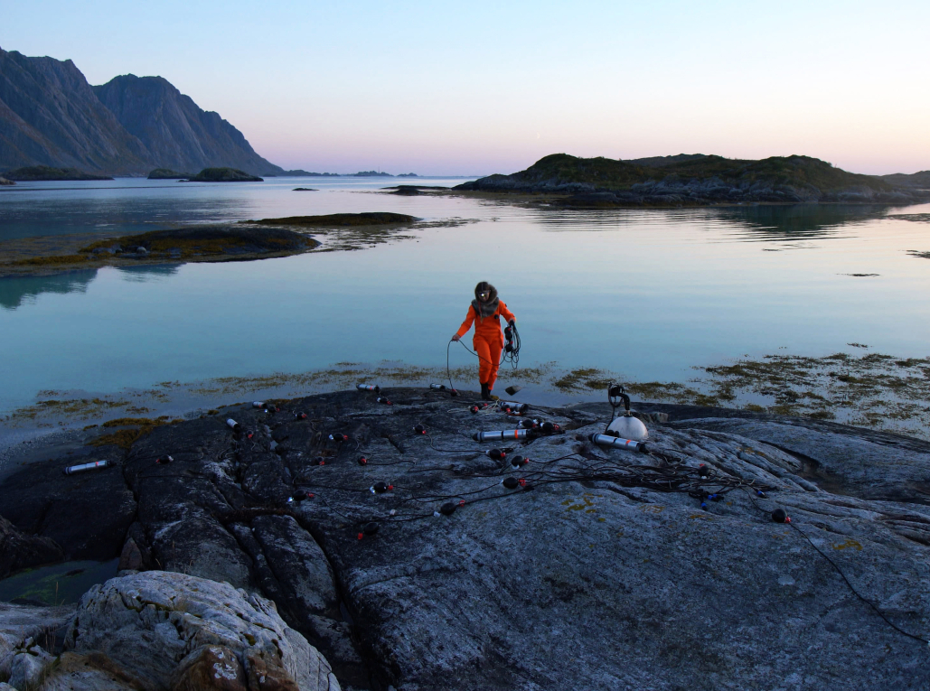 Ursula Biemann shared _Acoustic Ocean